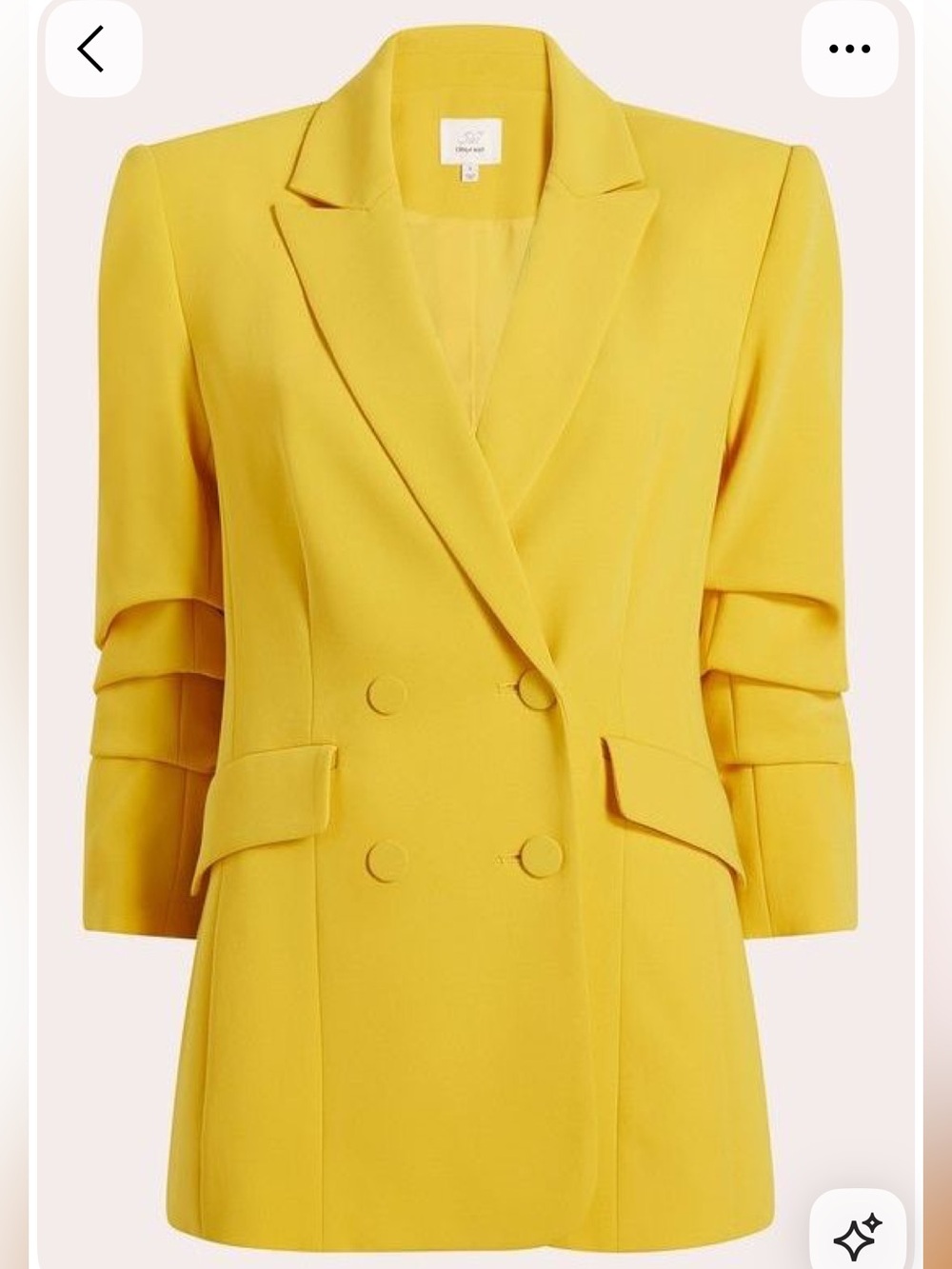 Cinq a Sept Kris Blazer